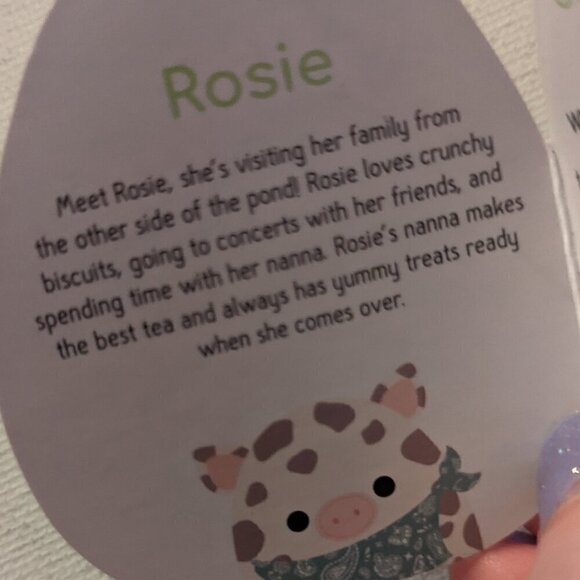 NWT 5" Rosie Spotted Pig Squishmallows Bandana Farm Squad Plushie Stuffed Animal - Picture 5 of 5